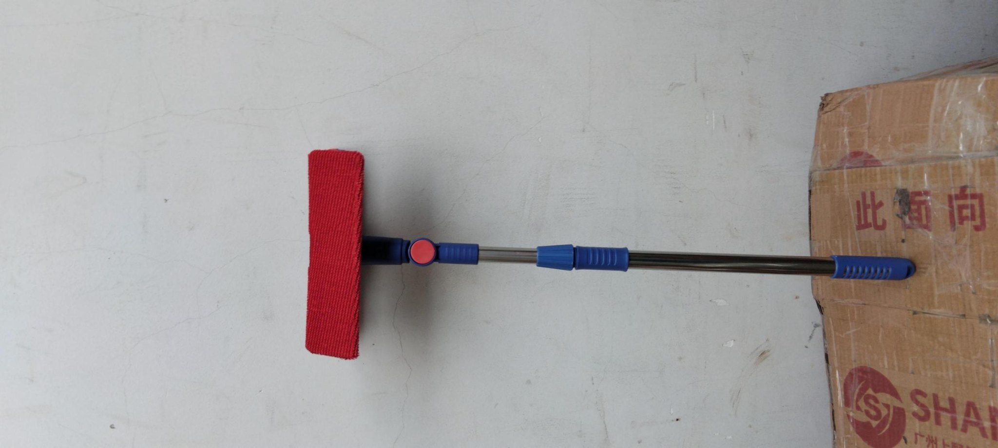 20241122_ZkTIMUyDpa Cây lau kính bông đỏ (kiện 100 cái)