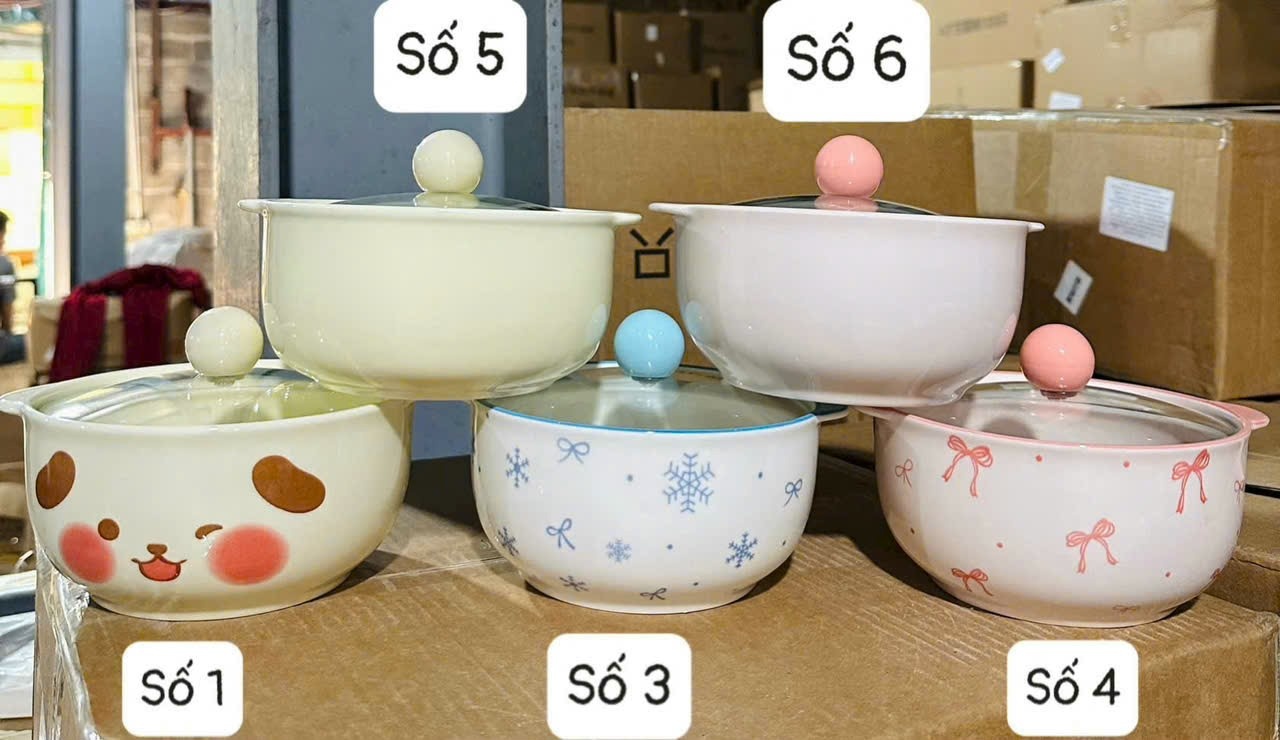 20251026_rhwcLIghur Âu nắp kính mẫu số 1,3,4,5,6 ( Kiện 36 cái ) ( Hàng nguyên kiện) ( không mix mẫu)