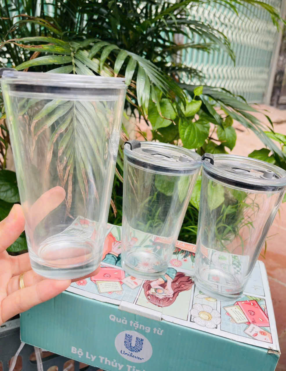 Bo-3-li-thuy-tinh-khong-kem-ong-hut-kien-16-bo-_b32470f54164f63aaf75 Bộ 3 ly thủy tinh có nắp không kèm ông hút Tmark (Kiện 16 bộ)